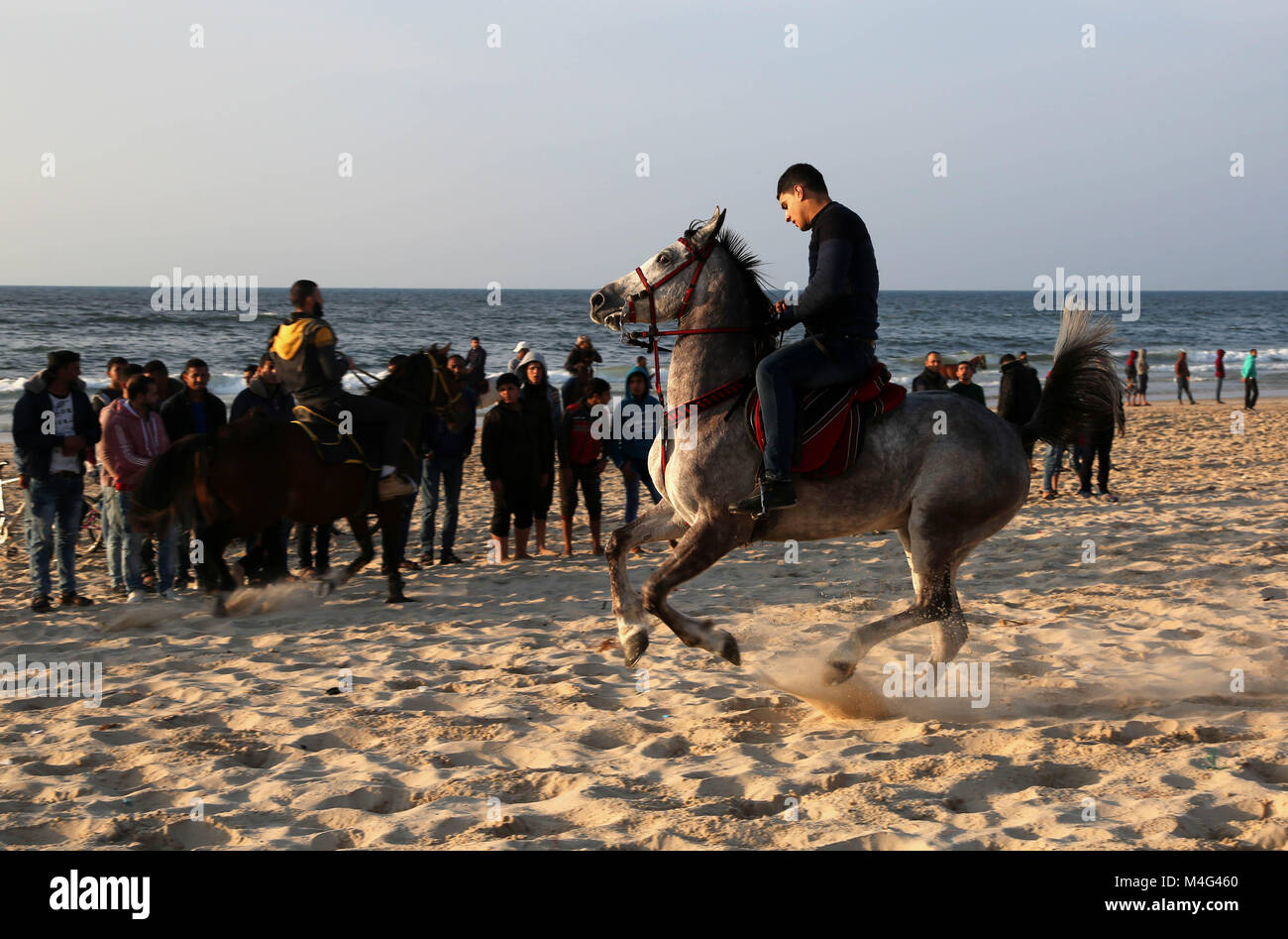Gaza, Gazastreifen, palästinensischen Gebiet. 16 Feb, 2018. Palästinensische Männer Pferde während eines lokalen Racing auf den Strand von Gaza Stadt am Februar 16, 2018 Credit: Ashraf Amra/APA-Images/ZUMA Draht/Alamy leben Nachrichten Stockfoto