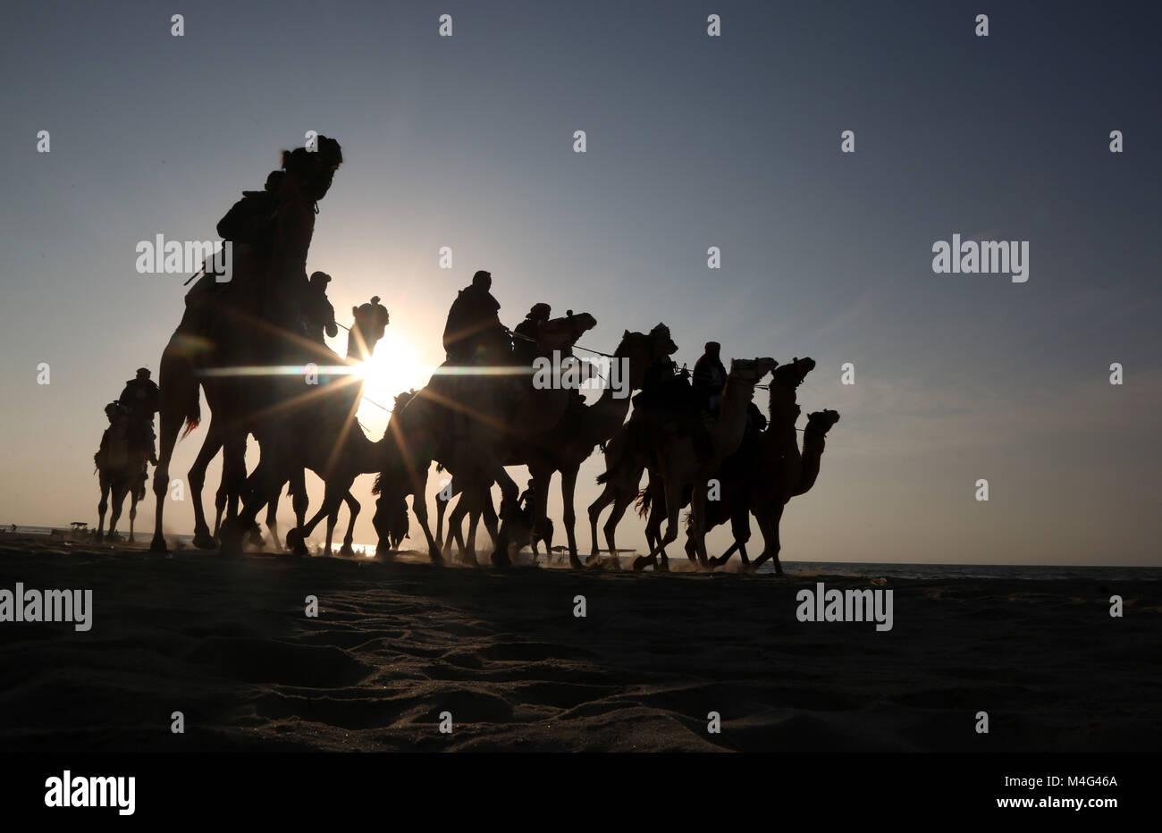 Gaza, Gazastreifen, palästinensischen Gebiet. 16 Feb, 2018. Palästinensische Männer reiten Kamele während eines lokalen Racing auf den Strand von Gaza Stadt am Februar 16, 2018 Credit: Ashraf Amra/APA-Images/ZUMA Draht/Alamy leben Nachrichten Stockfoto
