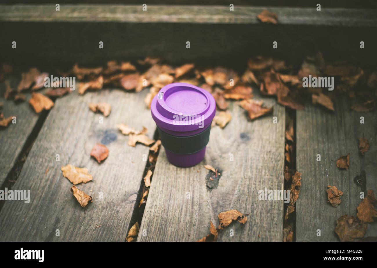 Scheunau, Deutschland, September 2016: Die Biologisch abbaubare Kaffeetasse von Eco Soulife auf dem Holzsteg zwischen den alten gefaltete Blätter stehen. Stockfoto