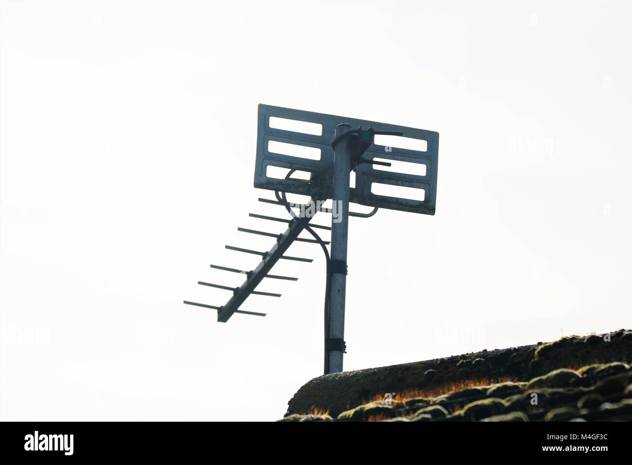 TV-Antenne auf der Giebelseite eines Moos bedeckt Ziegeldach Stockfoto