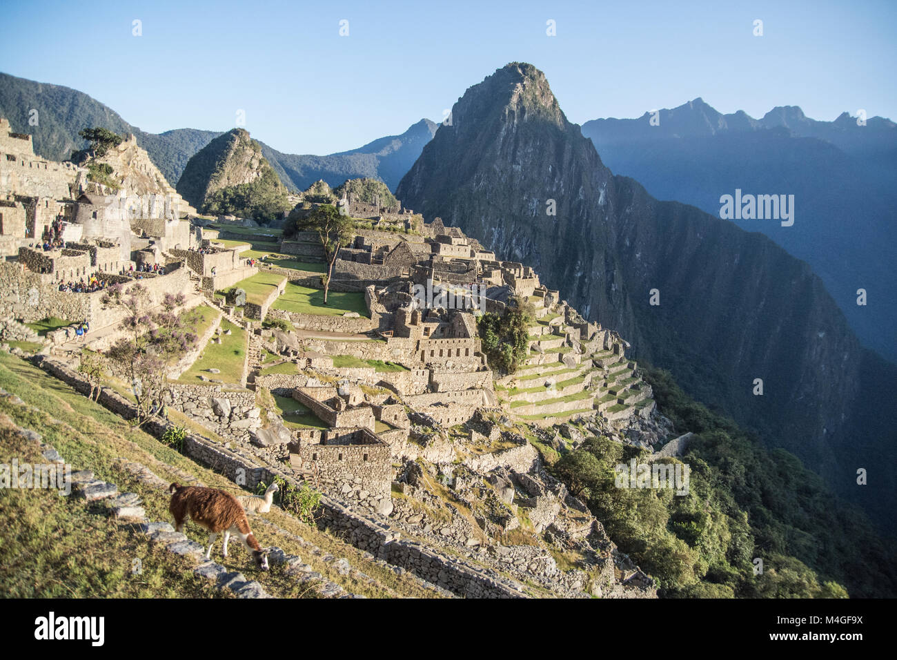 Ruinen von Machu Picchu Stadt am Morgen, Peru Stockfoto