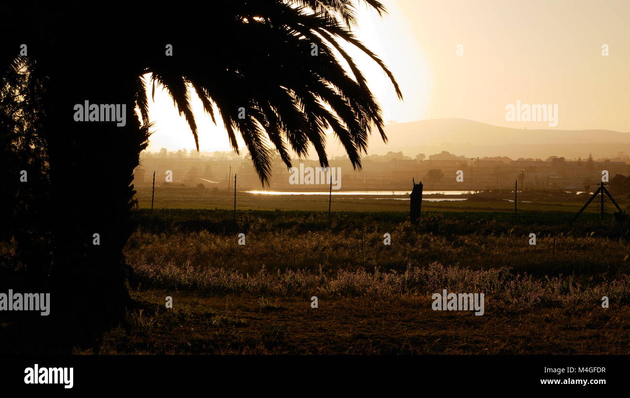 Afrikanische overlander Western Cape Südafrika Stockfoto