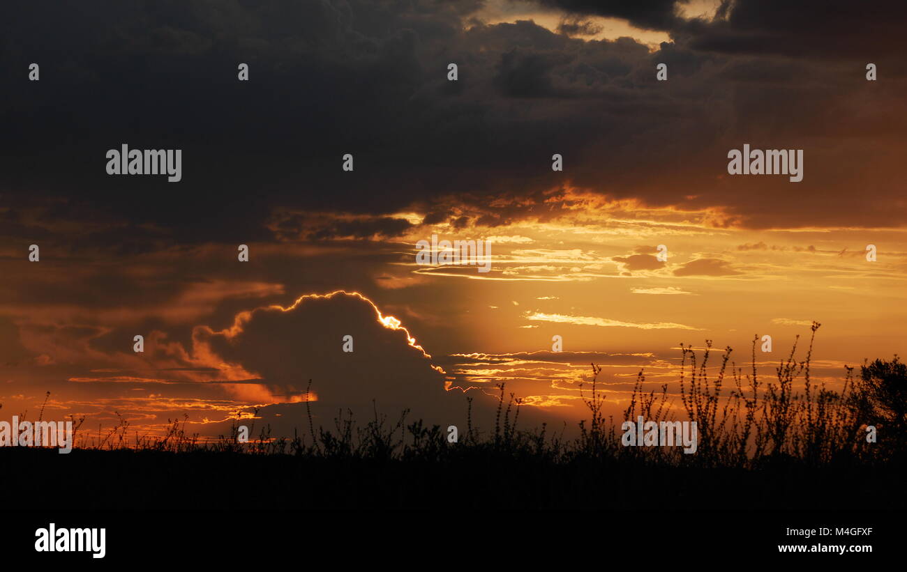 Central Kalahari Game Reserve Sonnenuntergang Afrika Botswana Stockfoto