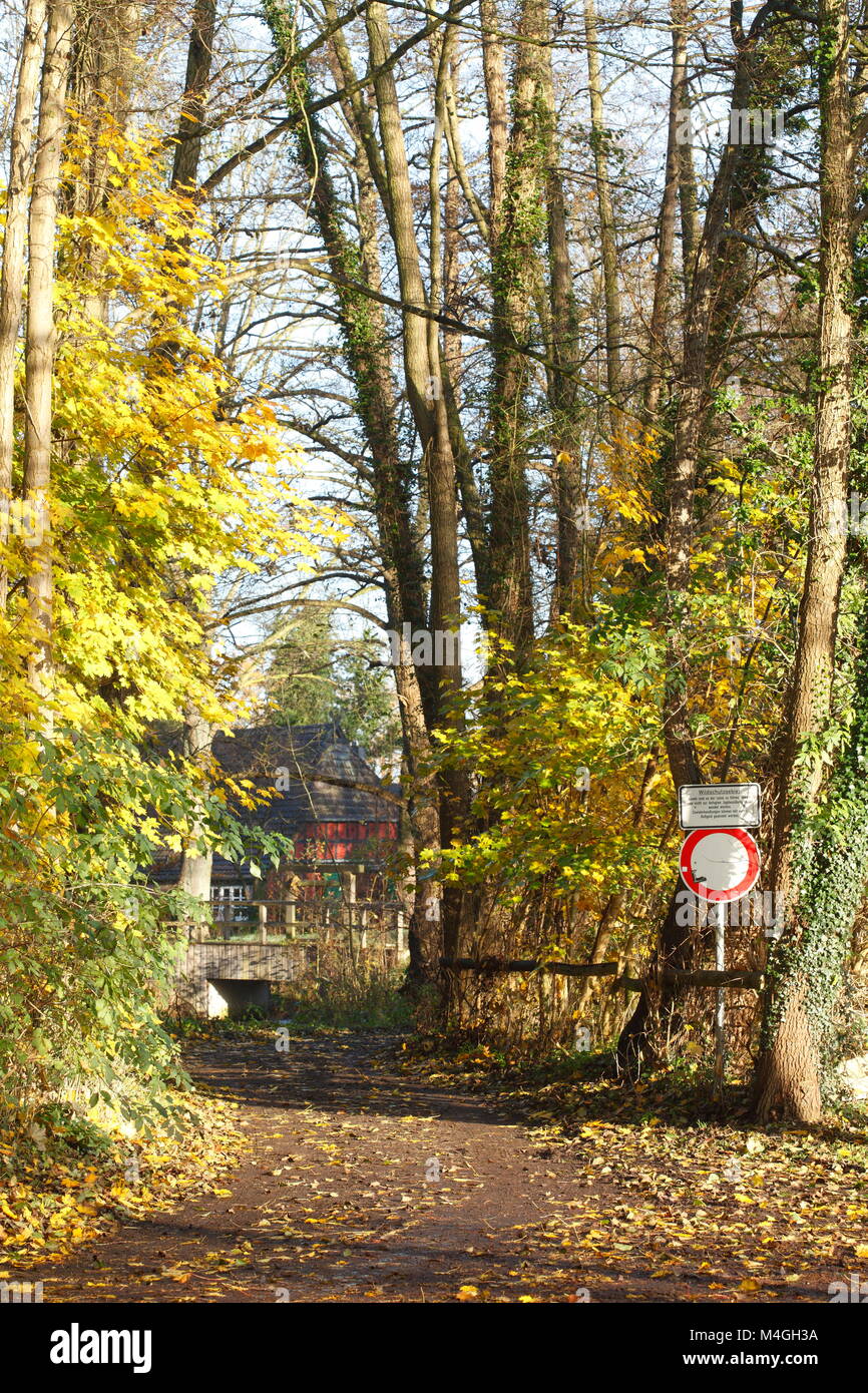 Diedrich-Speckmann-Weg im Herbst am Fluss Wümme, Fischerhude, Niedersachsen, Deutschland Ich Herbst in Fischerhude, Niedersachsen, Deutschland, Europa Stockfoto