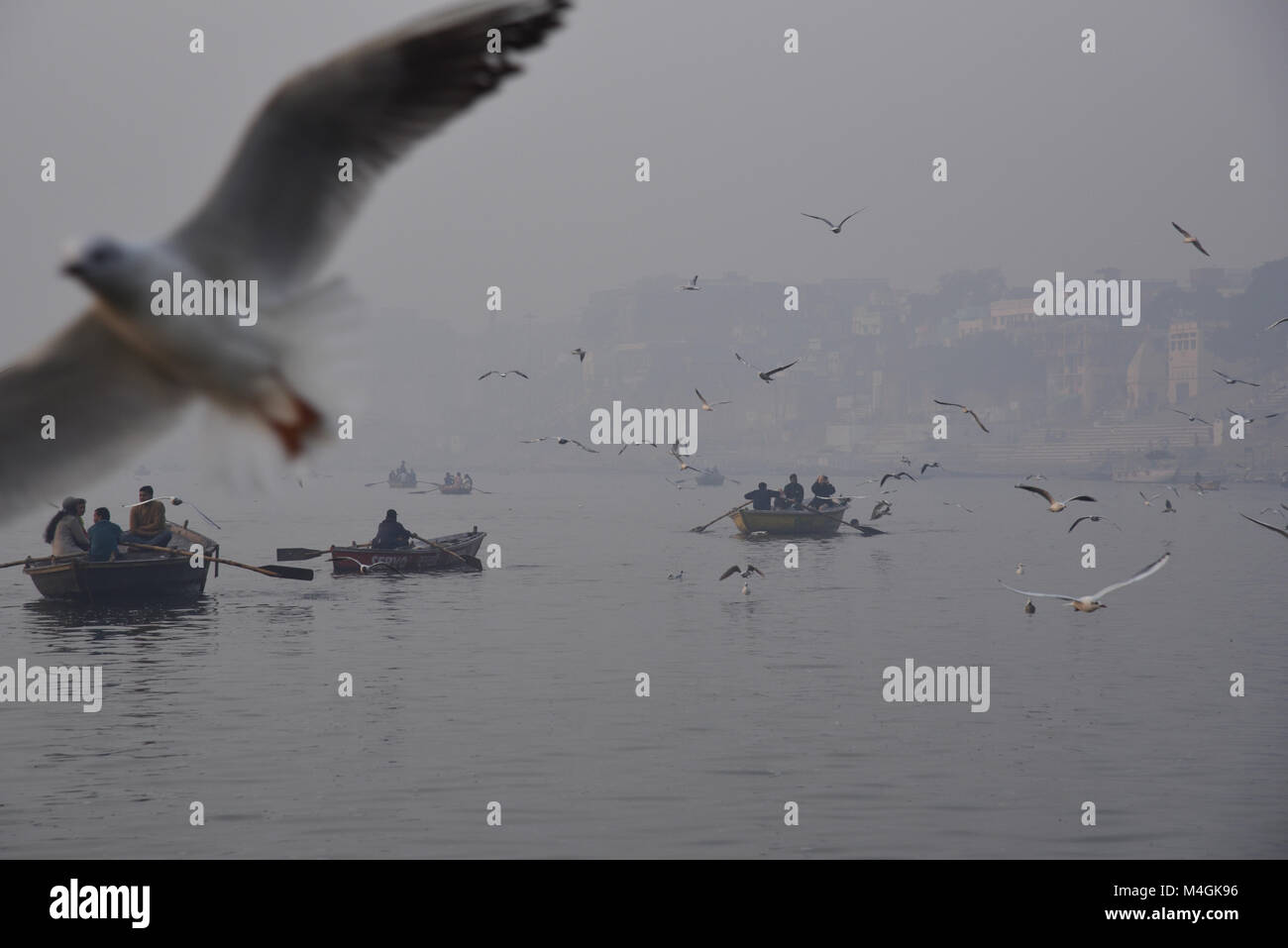 Am frühen Morgen Szene mit Vögel und Boote, in Varanasi Stockfoto