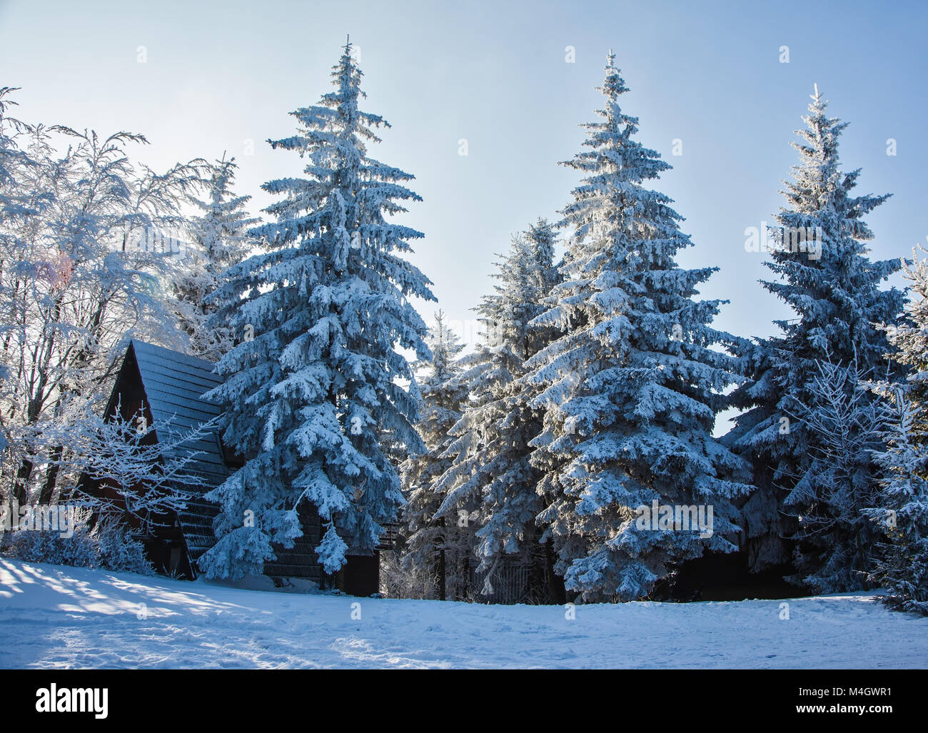 Am Morgen des neuen Jahres in der Tschechischen Tatra Stockfoto