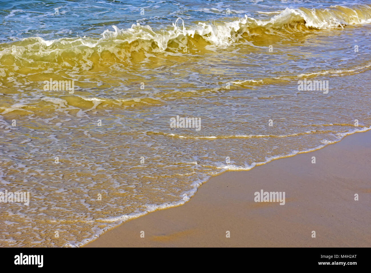 Salzwasser und Sand Stockfoto