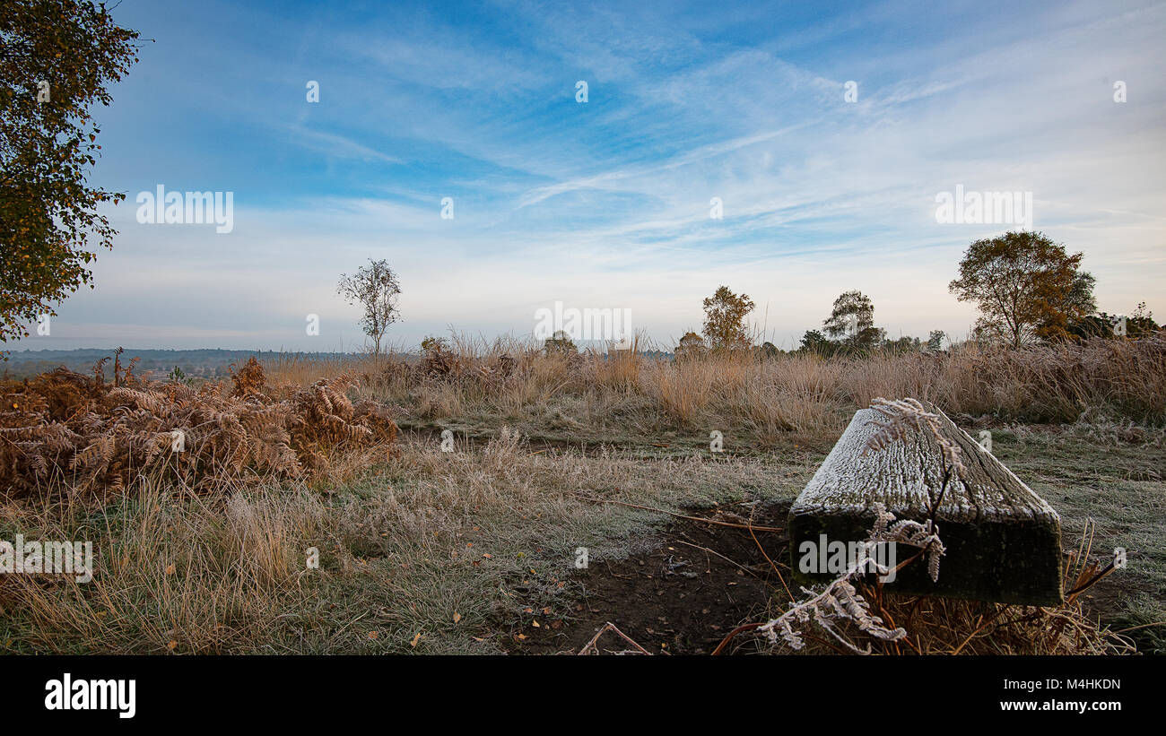 Frostige Landschaft Stockfoto Frostige Landschaft Stockfoto