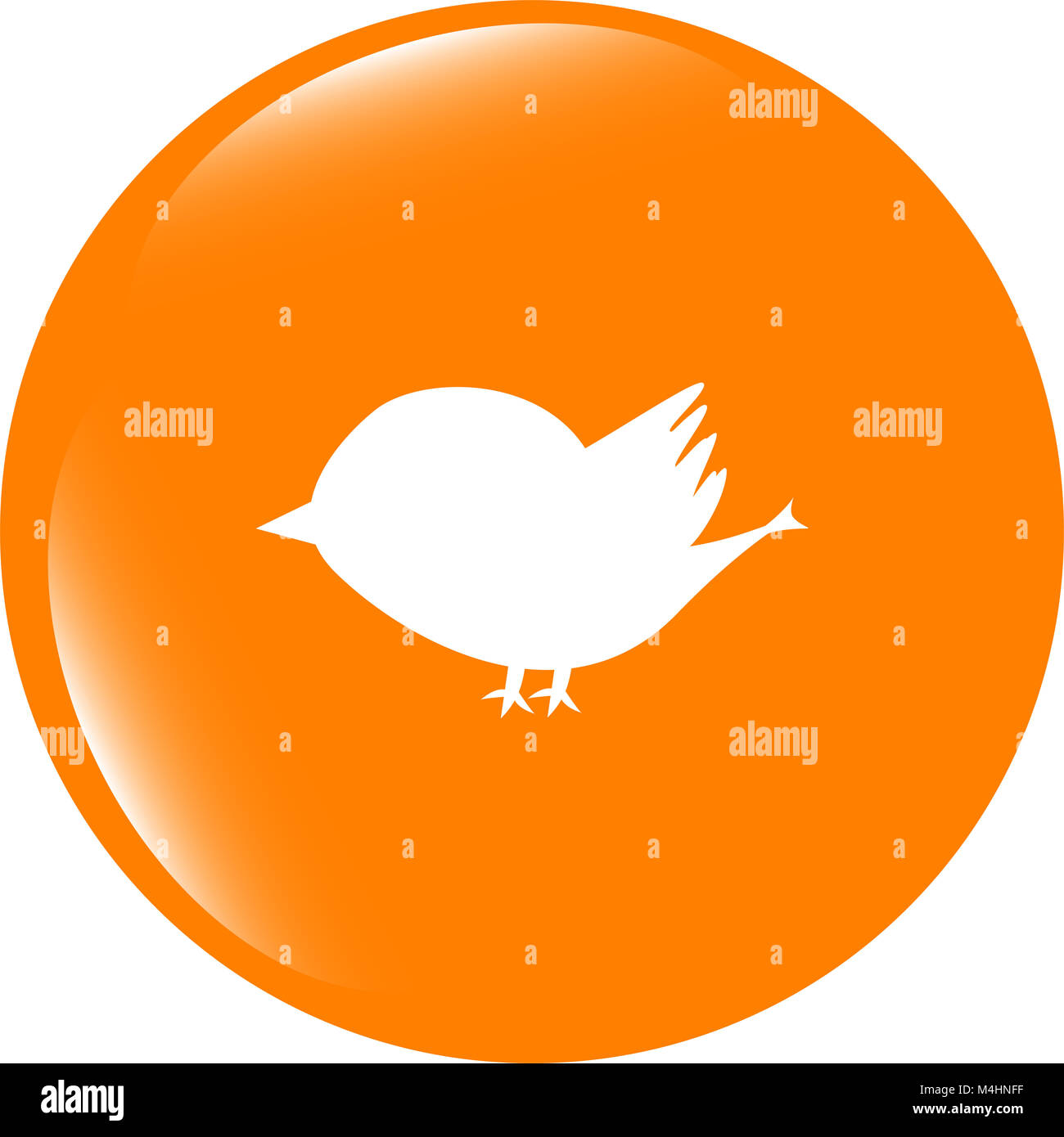 Glänzende isoliert Websitenutzung und der Internetnutzung Web Icon mit Vogel-symbol Stockfoto
