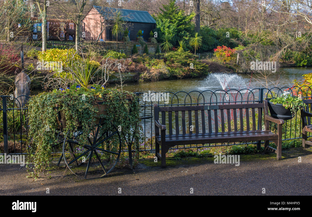 Schöner ruhiger Ort in einem städtischen Garten in der Shrewsbury Town Stockfoto