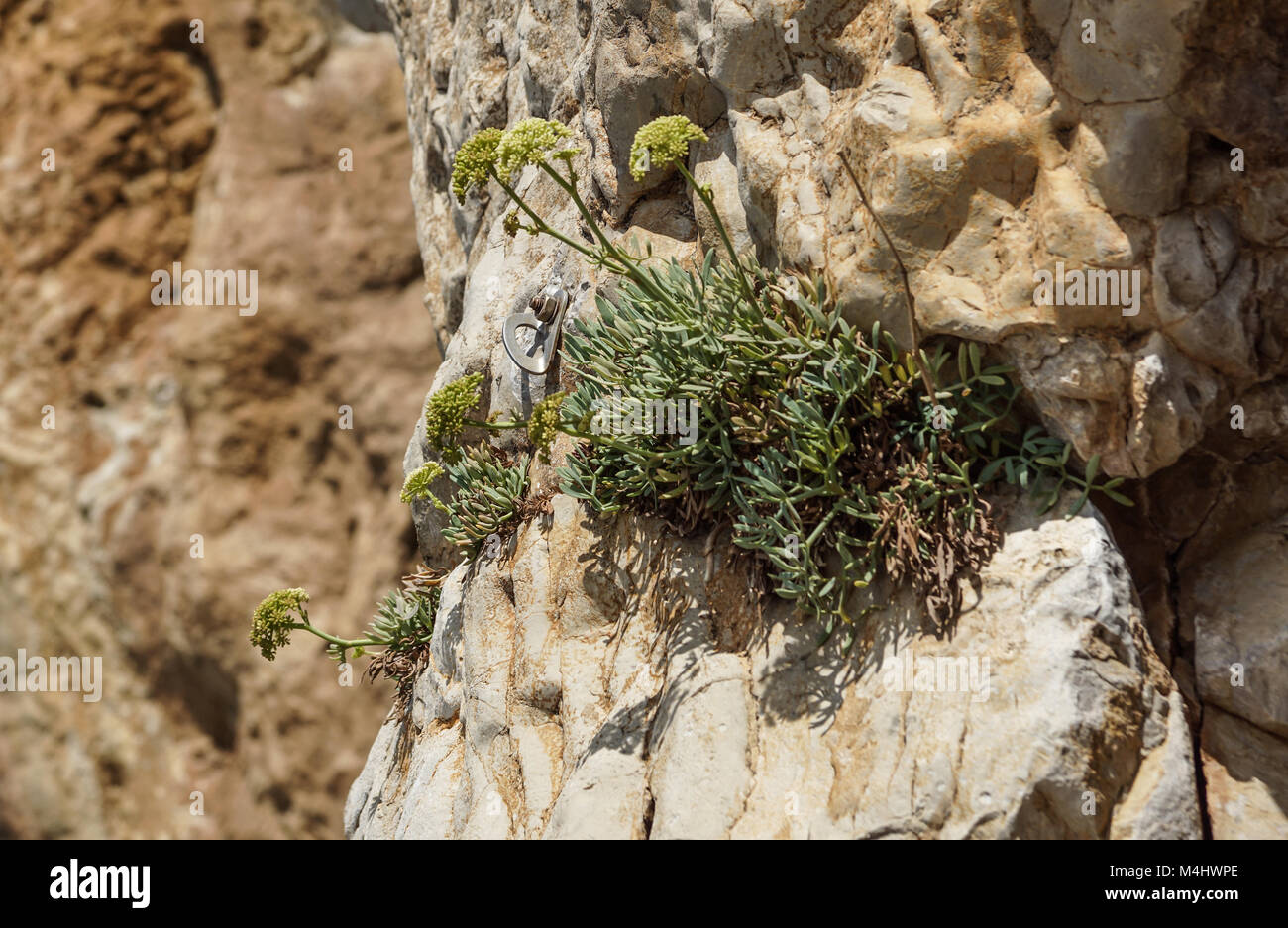 Kupfer mineralisiert rock Pile, Bauschutt, in der Nähe des Überkehrelevators mit geringer Tiefenschärfe. Stockfoto