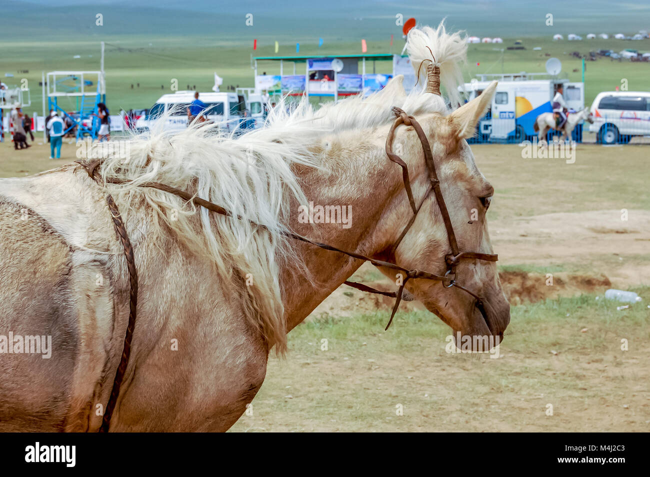 Khui Doloon Khudag, Mongolei - Juli 12, 2010: Pferd Nadaam Pferderennen auf Steppe außerhalb von Ulaanbaatar. Mongolei Nadaam ist das wichtigste Festival. Stockfoto