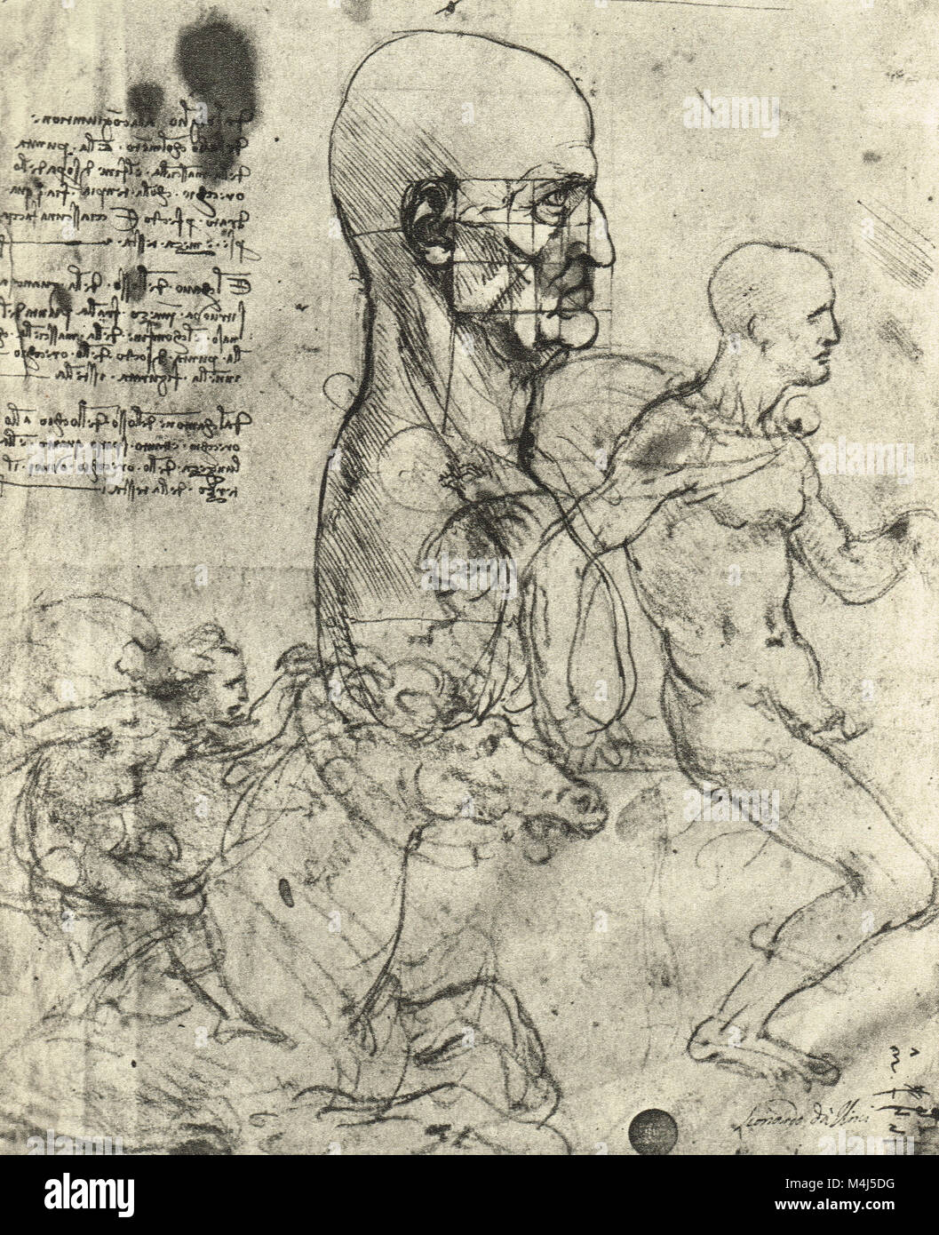 Profil eines Mannes für Anteil im Quadrat, und Studien der Reiter, von Leonardo Da Vinci, ca. 1490 gezeichnet Stockfoto