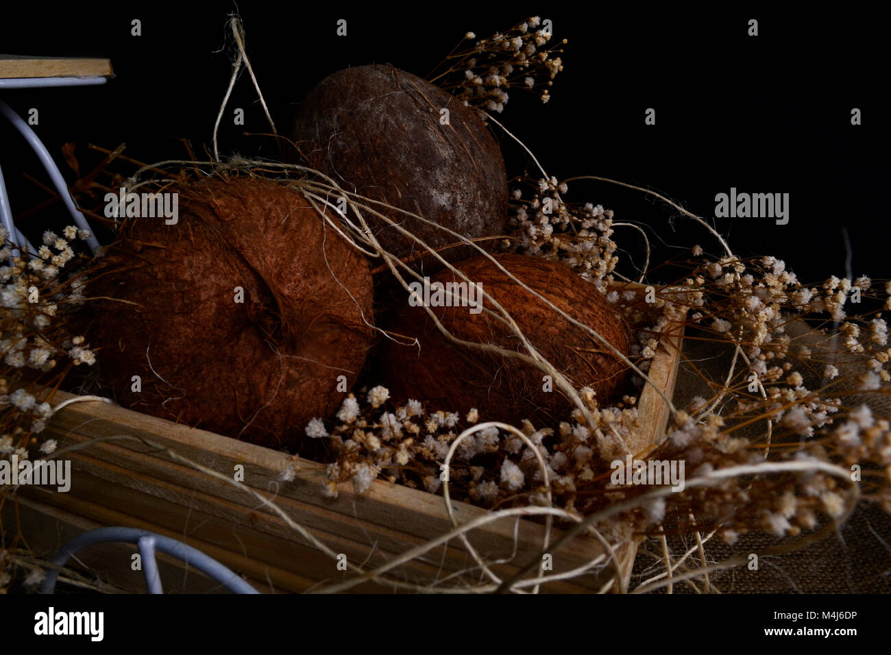 Coco Stockfoto