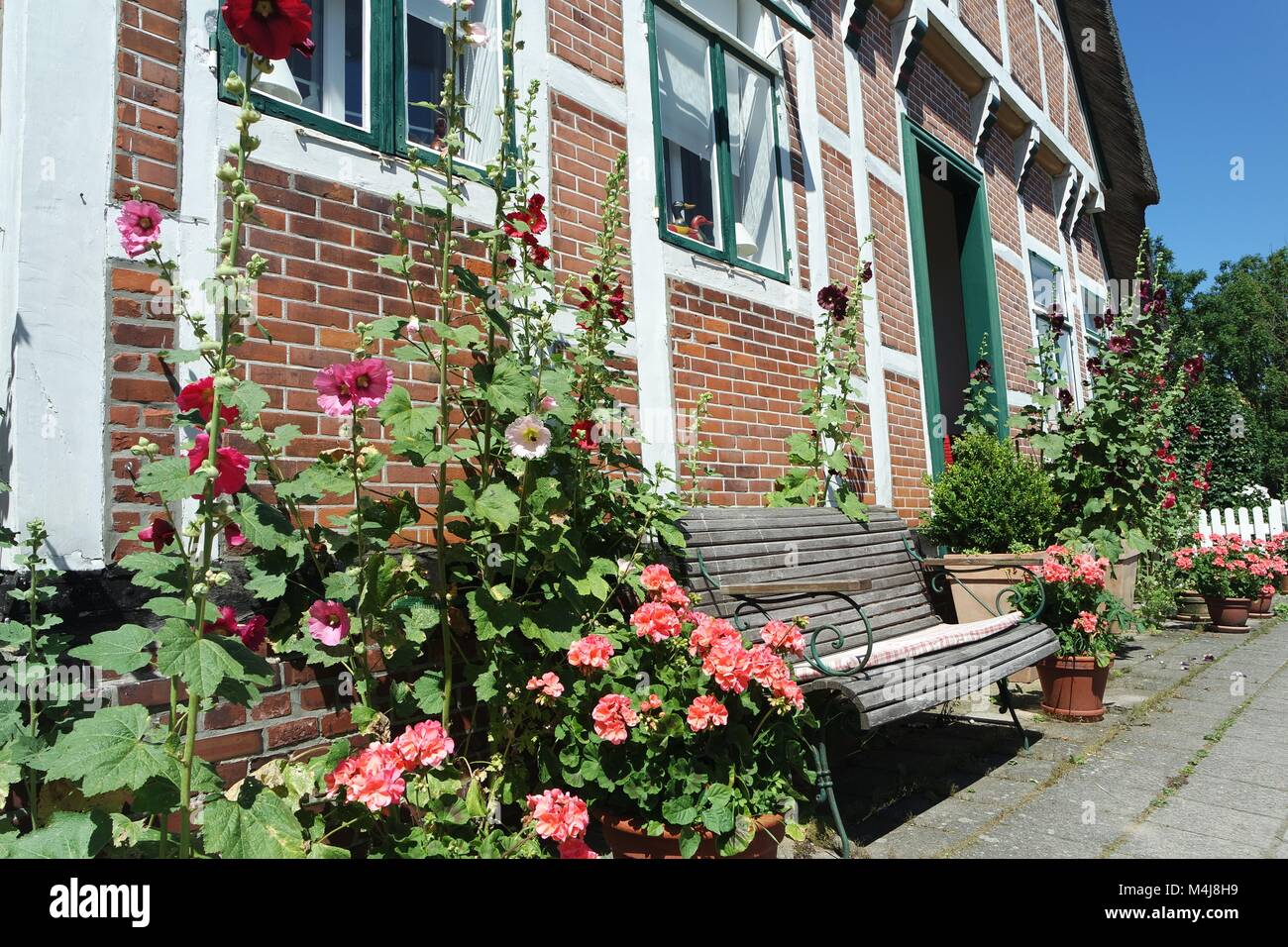 Blumen an Fachwerkhaus, Altes Land Stockfoto Blumen an Fachwerkhaus, Altes Land Stockfoto