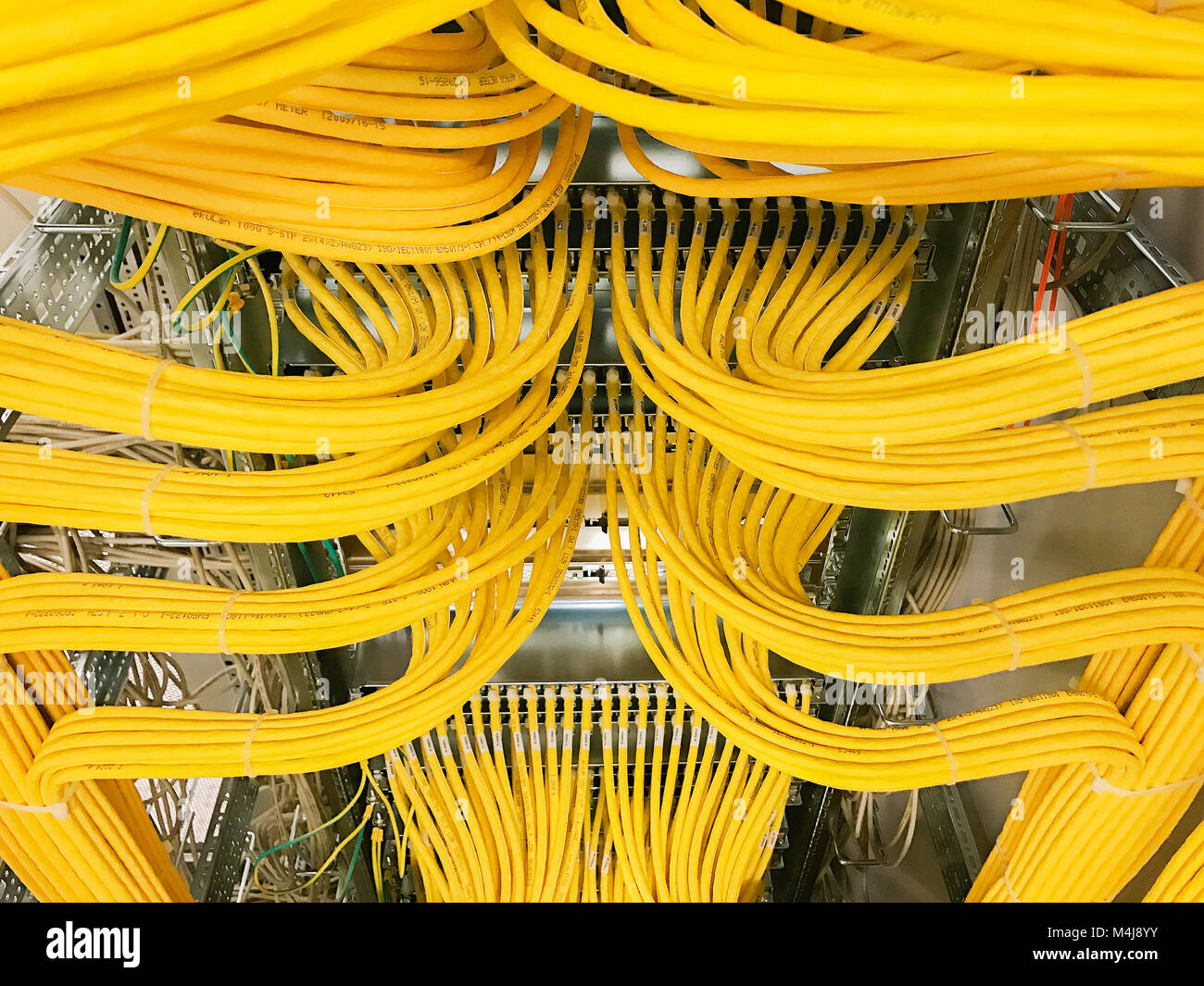 Netzwerkkabel an einem Netzwerk-hub Stockfoto