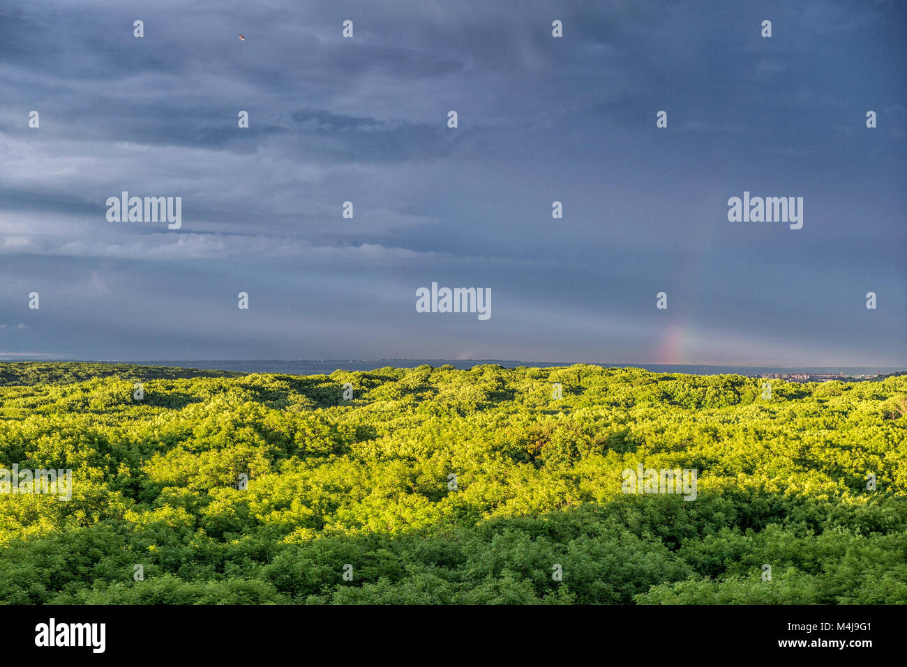 Sonnenuntergang von der Höhe über dem Wald. Stavropol. Russland Stockfoto