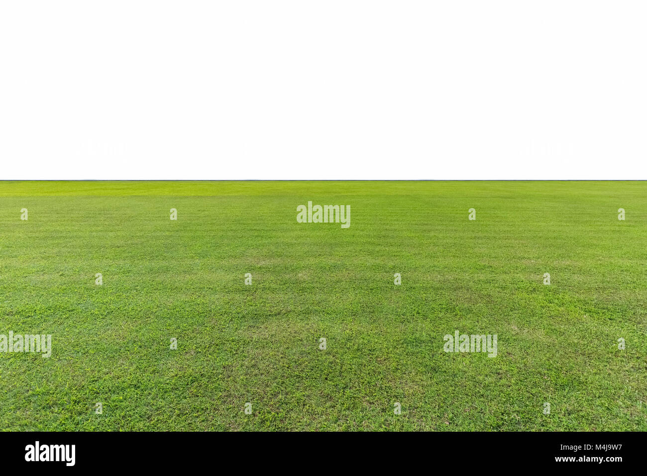 Grünen Rasen isoliert Stockfoto