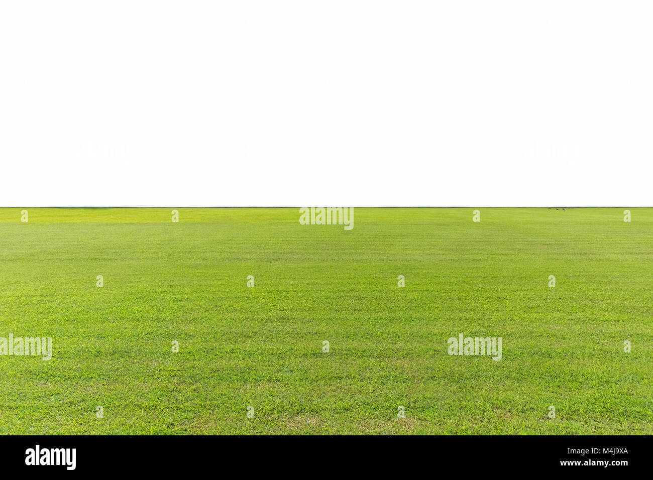 Grünen Rasen isoliert Stockfoto