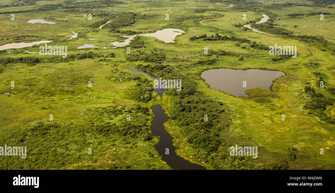 Luftaufnahme Des Pantanal Sumpfgebiete Pantanal Brasilien luftaufnahme-des-pantanal-sumpfgebiete-pantanal-brasilien