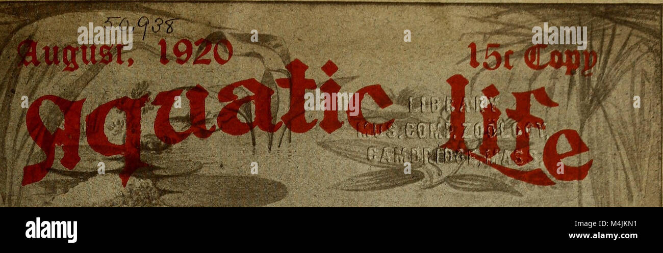 Diese 1920 veröffentlichte Arbeit untersucht die verschiedenen Lebensformen in aquatischen Umgebungen, einschließlich Meeres- und Süßwasserarten. Sie deckt ein breites Spektrum von Organismen und deren Wechselwirkungen in aquatischen Ökosystemen ab. Stockfoto