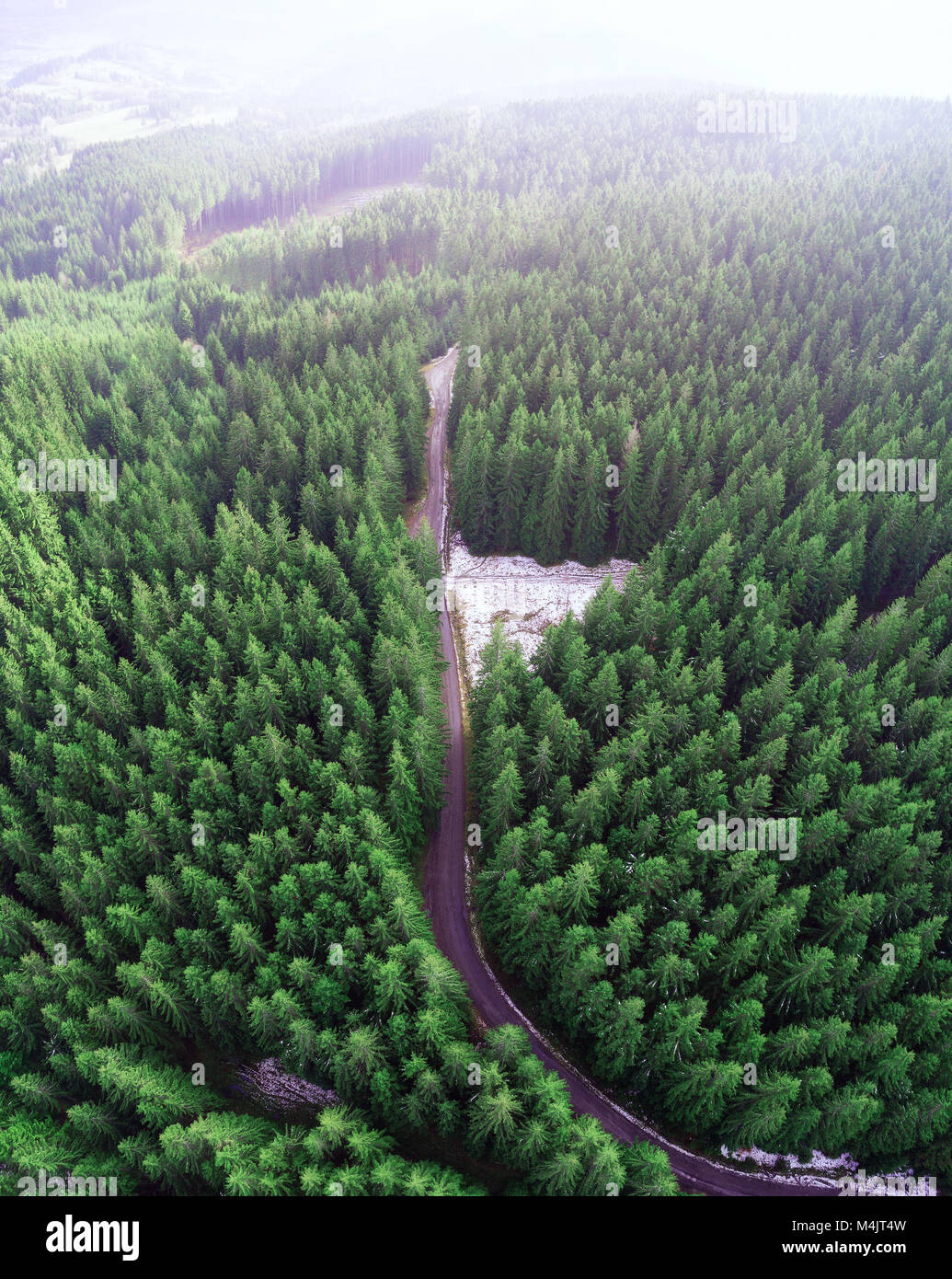 Leere Straße in einem Wald von einer Drohne Stockfoto