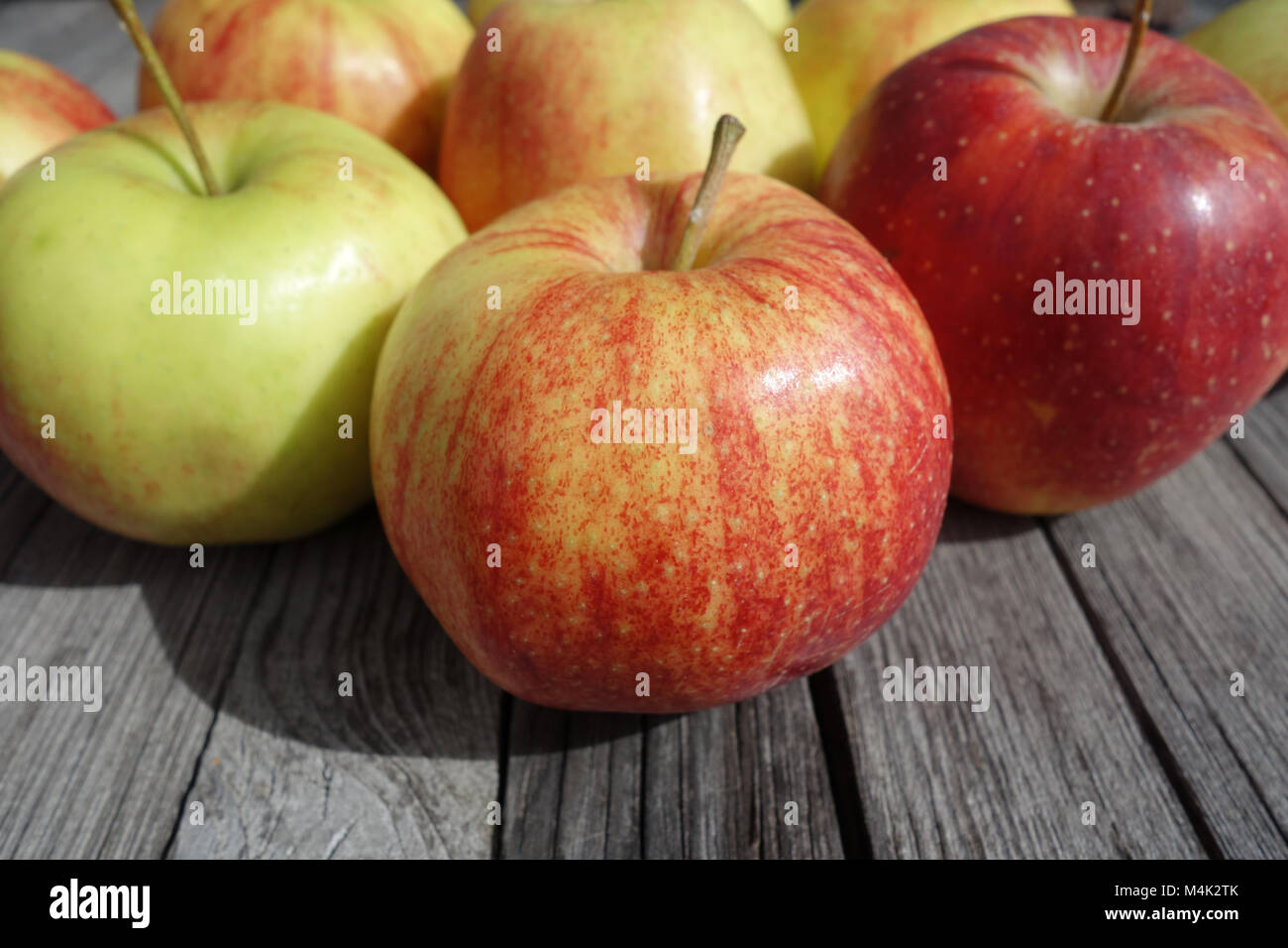 Malus Domestica Jonagored, Apple - sortieren Stockfoto