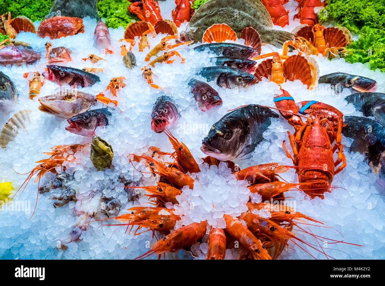 Verschiedene Meeresfrüchte in den Regalen der Fischmarkt Stockfoto