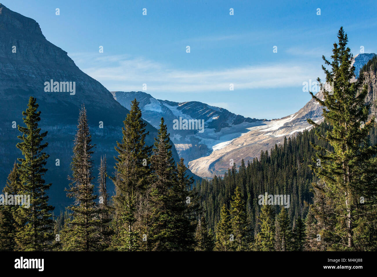 Jackson Gletscher - Fallen. Stockfoto