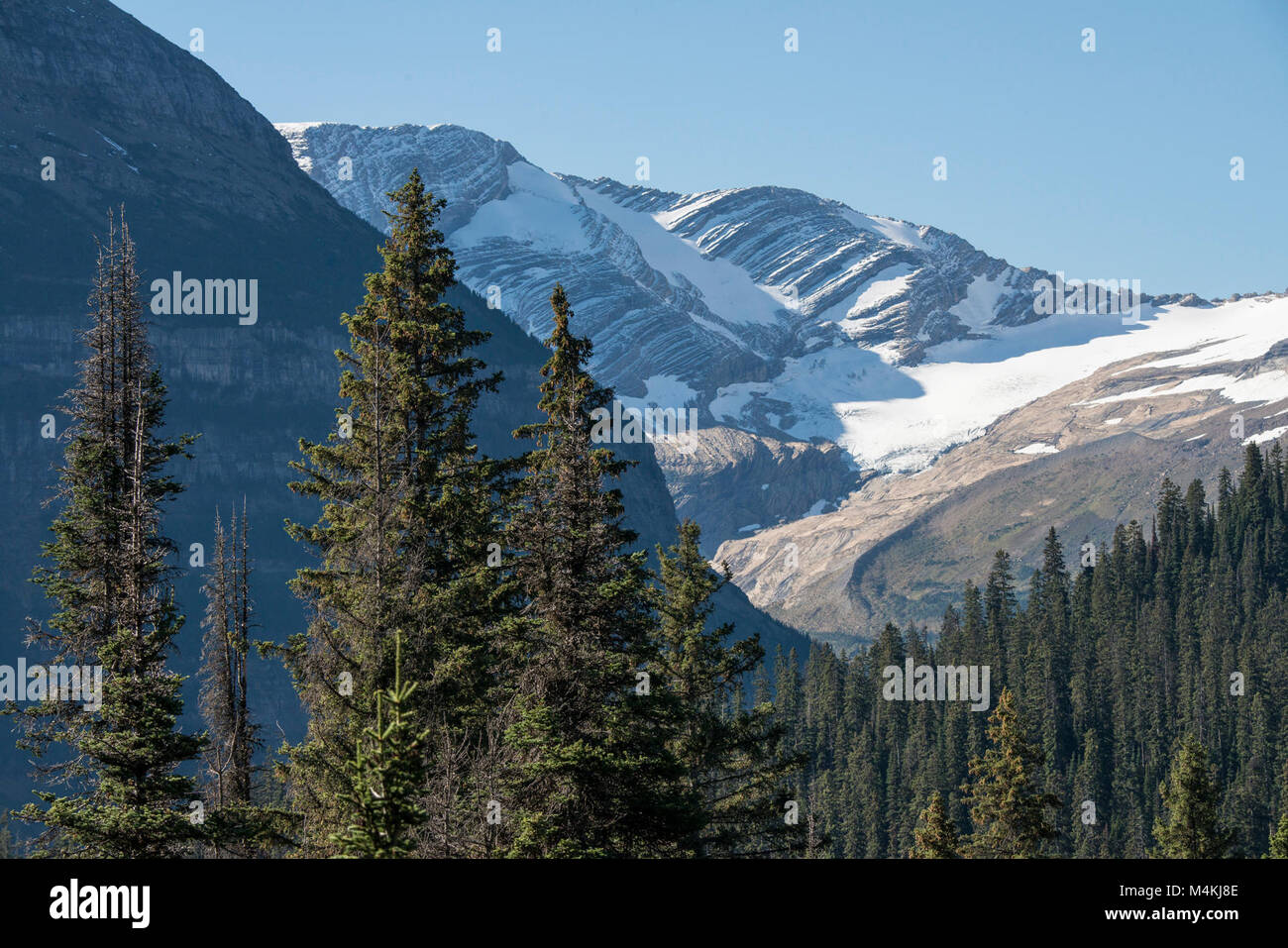 Jackson Glacier übersehen - Sept B. Stockfoto