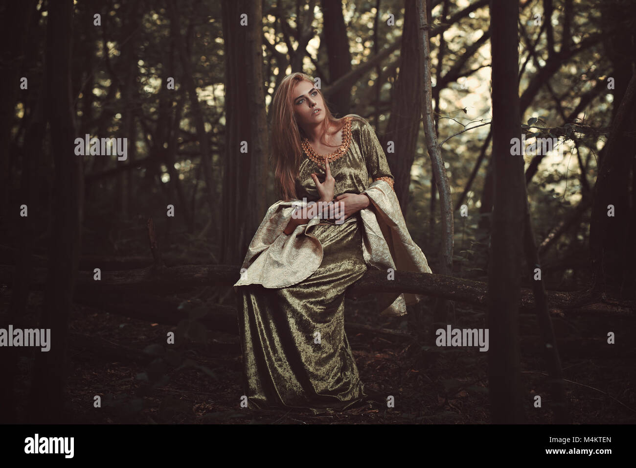 Schöne elfin Lady in magischen Wald. Fantasy Schuß Stockfoto