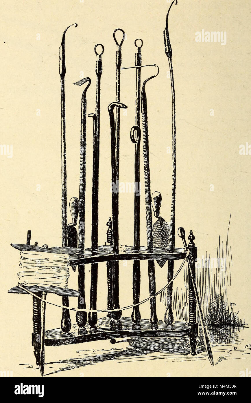 *Annals of Horticulture in North America* (1891) sammelt Veranstaltungen und Fortschritte im Gartenbau, einschließlich Fortschritte im Pflanzenanbau, landwirtschaftliche Techniken und die Entwicklung von Garten- und Landwirtschaftspraktiken in Nordamerika. Stockfoto