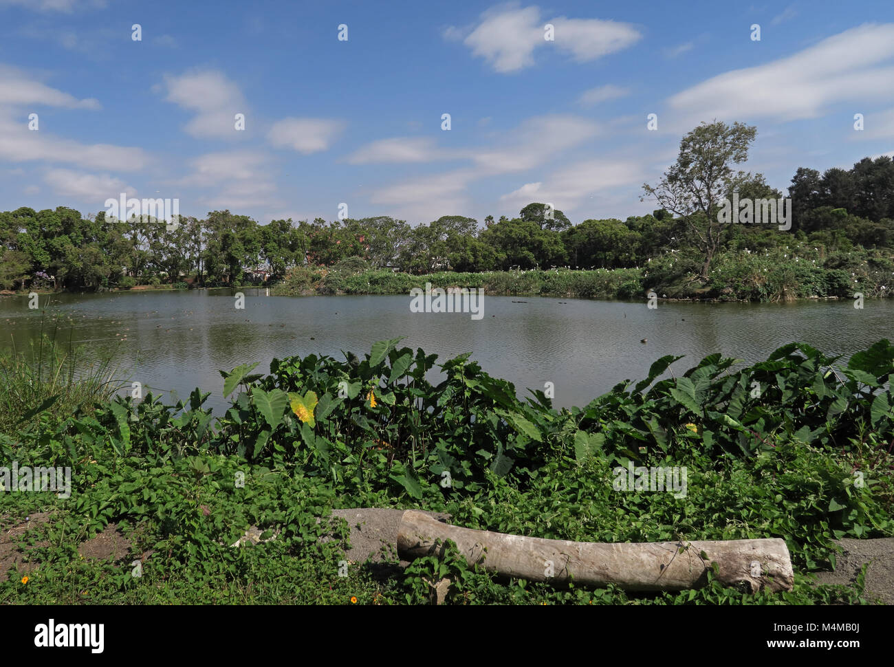 Blick über die Stadt See see Alarobia, Antananarivo, Madagaskar November Stockfoto