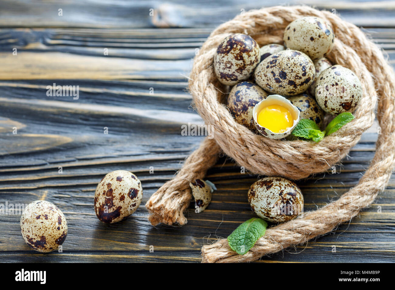 Gesprenkelte Wachtel Eier und Eigelb in der Shell. Stockfoto
