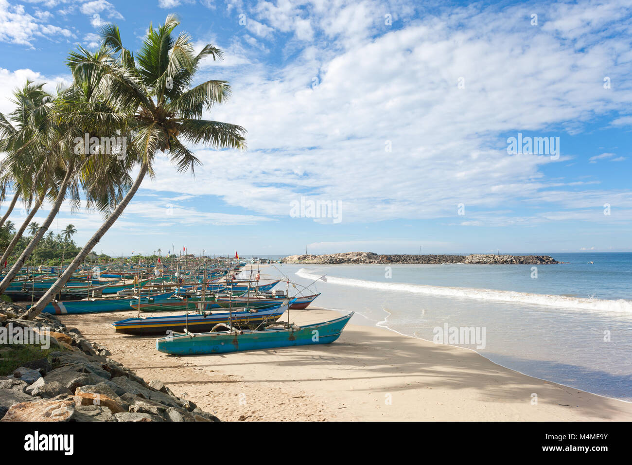 Sri Lanka, Asien, Dodanduwa - Palmen an der Küste von dodanduwa Stockfoto