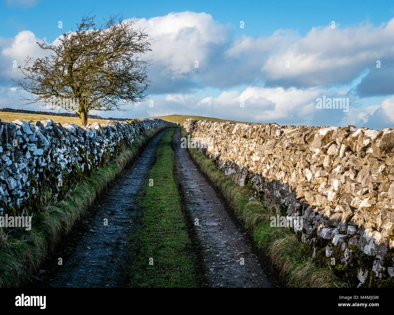 Green Lane mit Trockenmauern in der Nähe von alstonefield in The Derbyshire Peak District DE Stockfoto