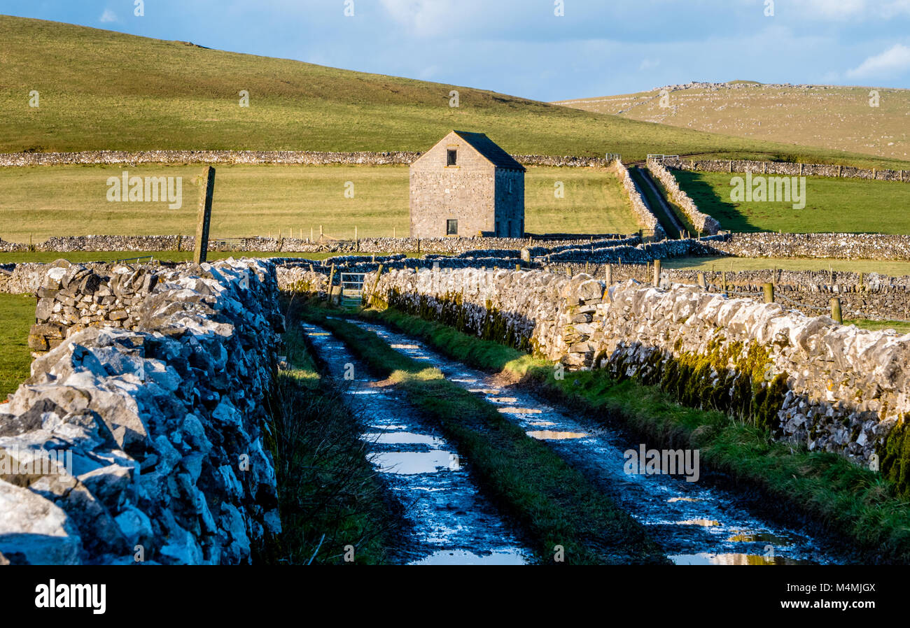 Feld Scheune neben einem Green Lane mit Trockenmauern in der Nähe von alstonefield in die weißen Gipfel der Staffordshire, Großbritannien Stockfoto