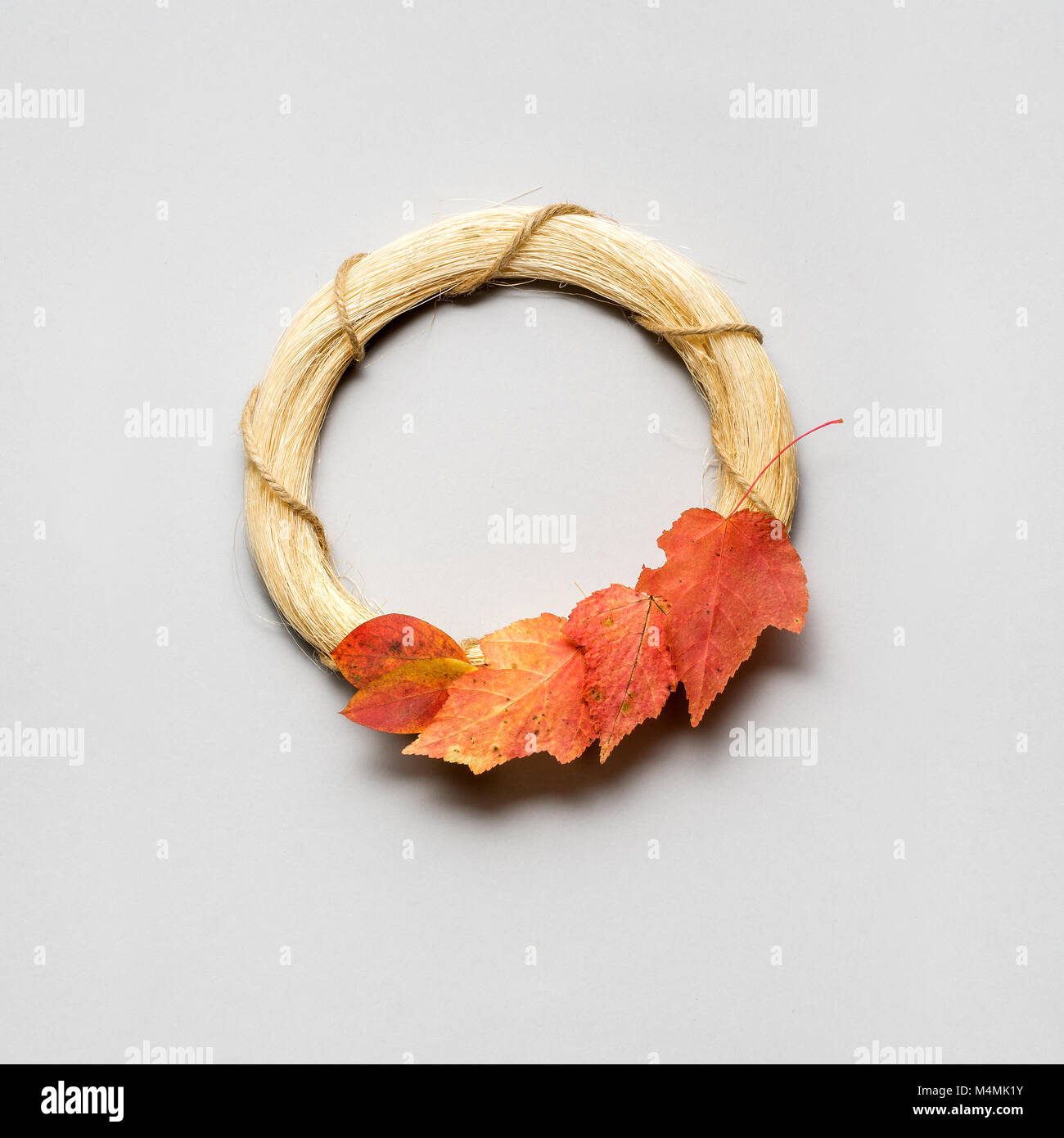 Kreative thanksgiving Tag Konzept Foto der Blätter auf grauem Hintergrund. Stockfoto