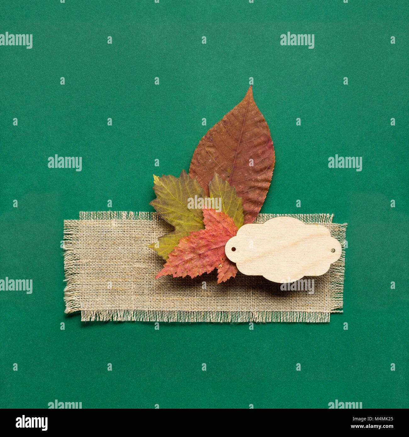 Kreative thanksgiving Tag Konzept Foto der Blätter auf grünem Hintergrund. Stockfoto