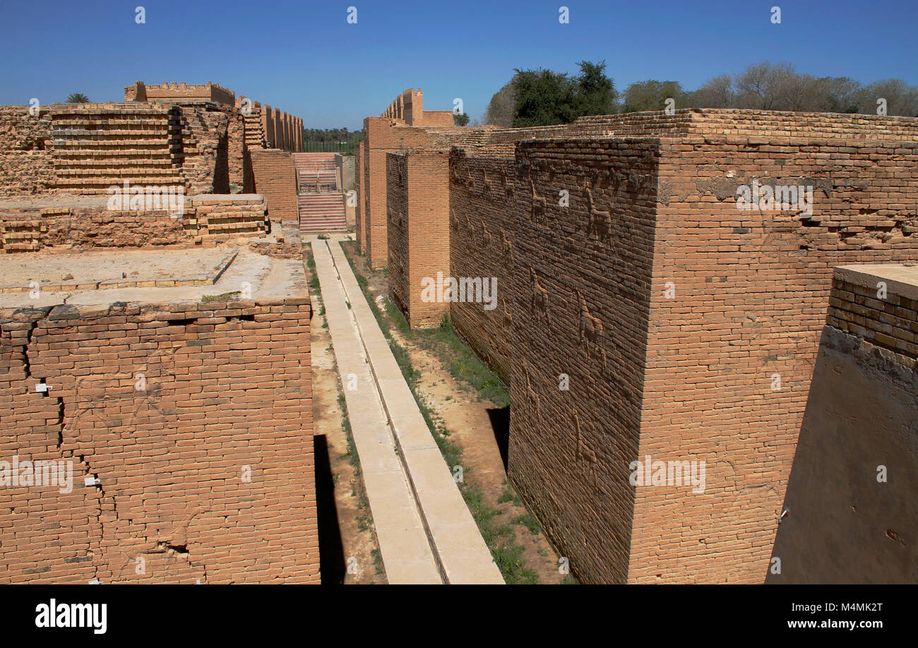 Ziegelwände mit Reliefs der Heiliger Stier und Dragon am ursprünglichen Ischtar-tor von Babylon, Irak eingerichtet. Stockfoto