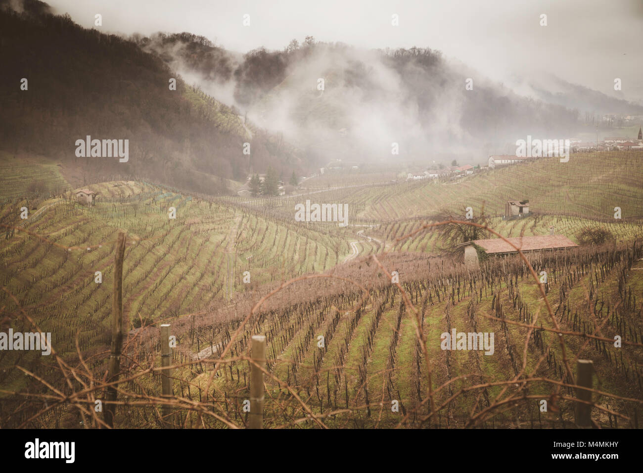 Täler und Hügel mit Weinbergen rund um den italienischen Stadt Valdobbiadene, berühmt für die Herstellung von Prosecco Sekt. Winter niedrige Wolken und Stockfoto