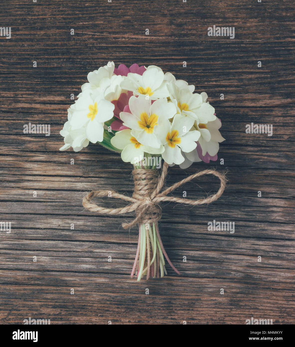 Ein Blumenstrauß primrose auf dem alten Board, retro Abtönen Stockfoto