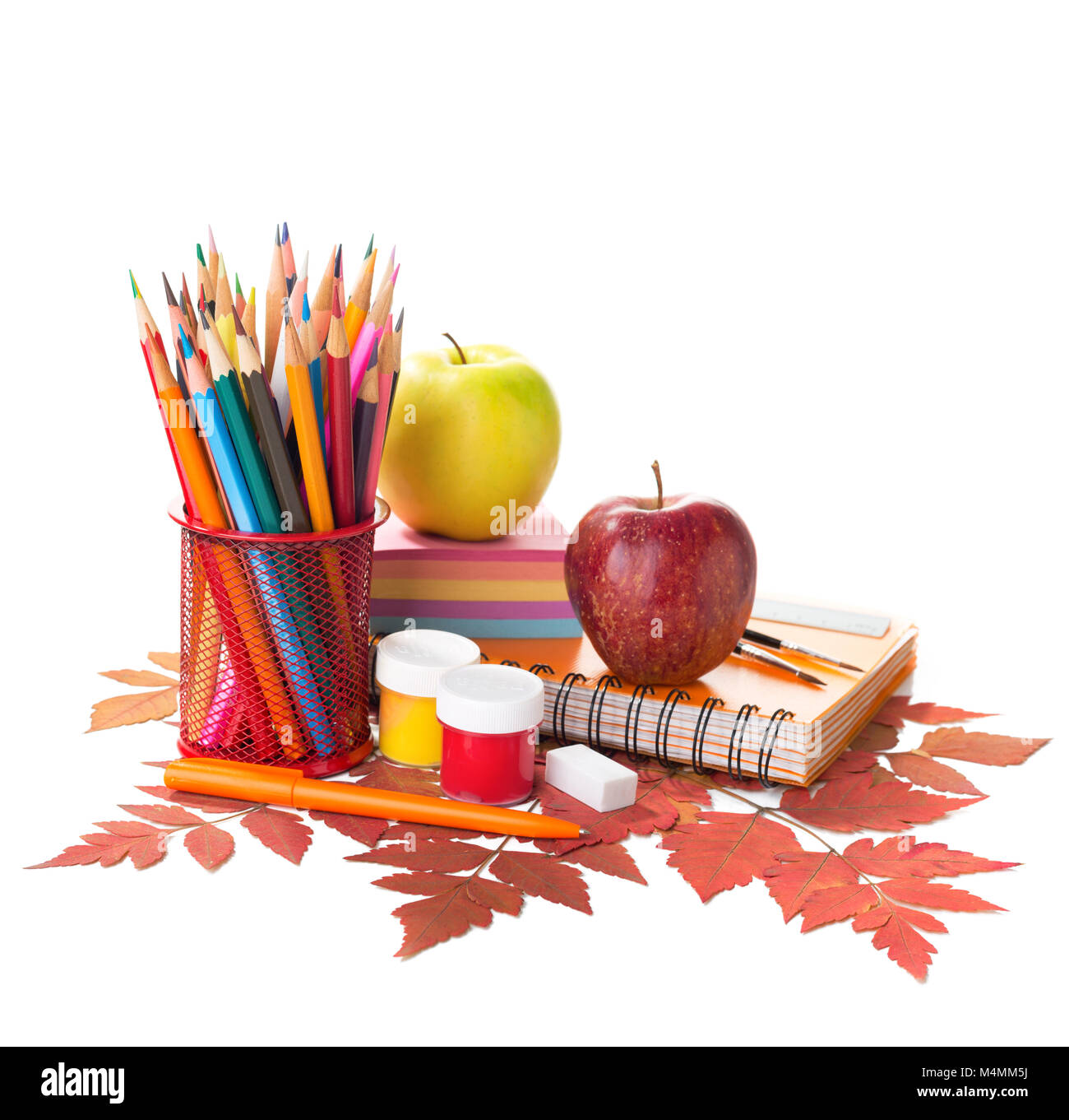 Schulbedarf und Herbstlaub auf weißem Hintergrund Stockfoto