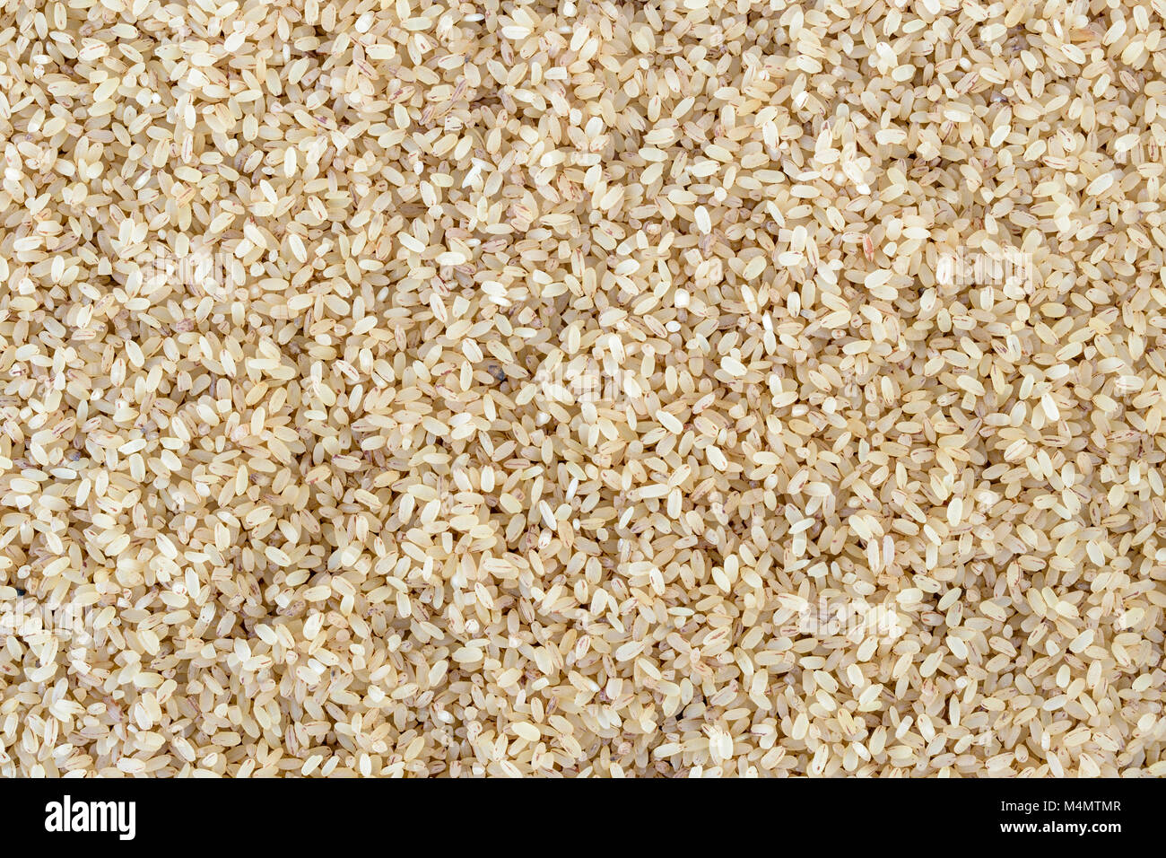 Parboiled Reis im als Hintergrund gefüllt Stockfoto