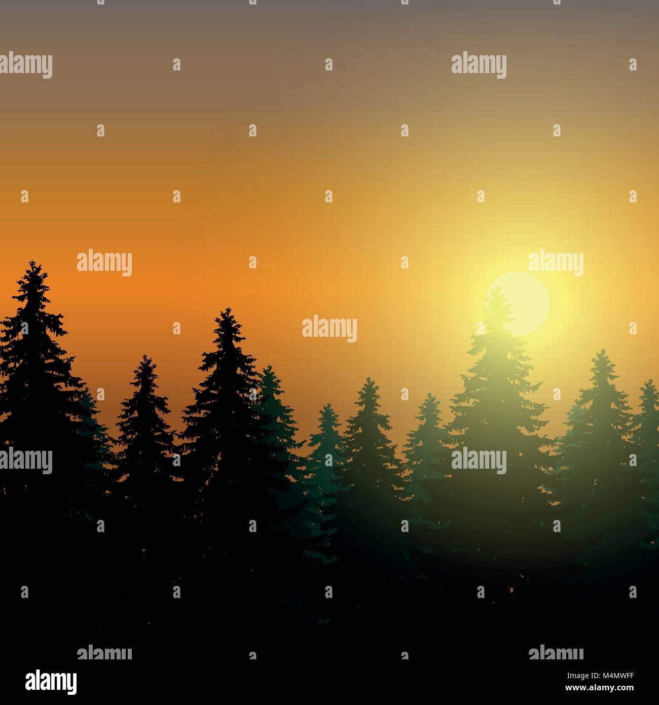 Landschaft mit nadelwald unter Morgenhimmel im Morgengrauen und Sonnenlicht - Vektor mit Platz für Text Stock Vektor