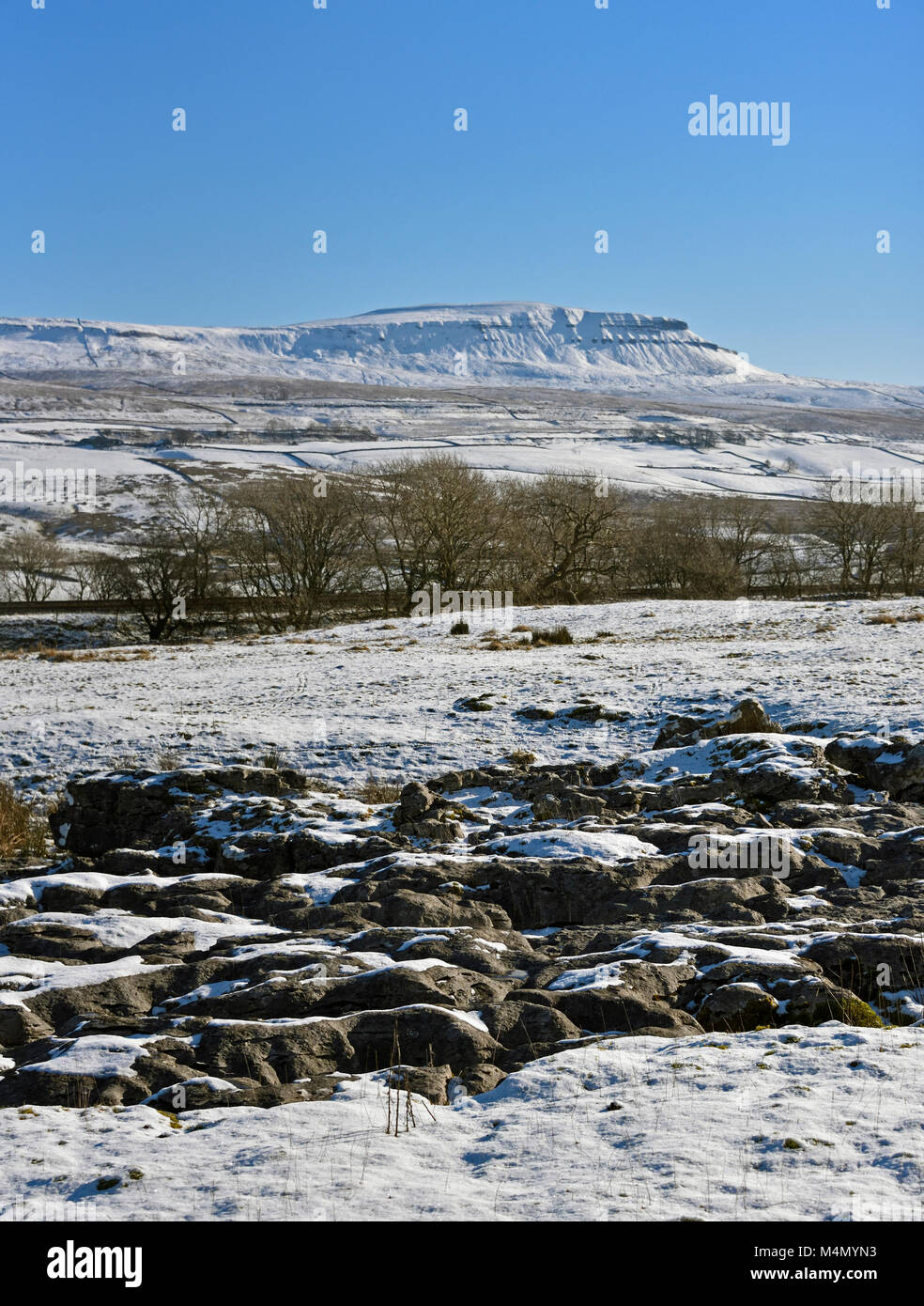 Pen-y-Gent von Gauber Straße. Yorkshire Dales National Park, Yorkshire, England, Vereinigtes Königreich, Europa. Stockfoto