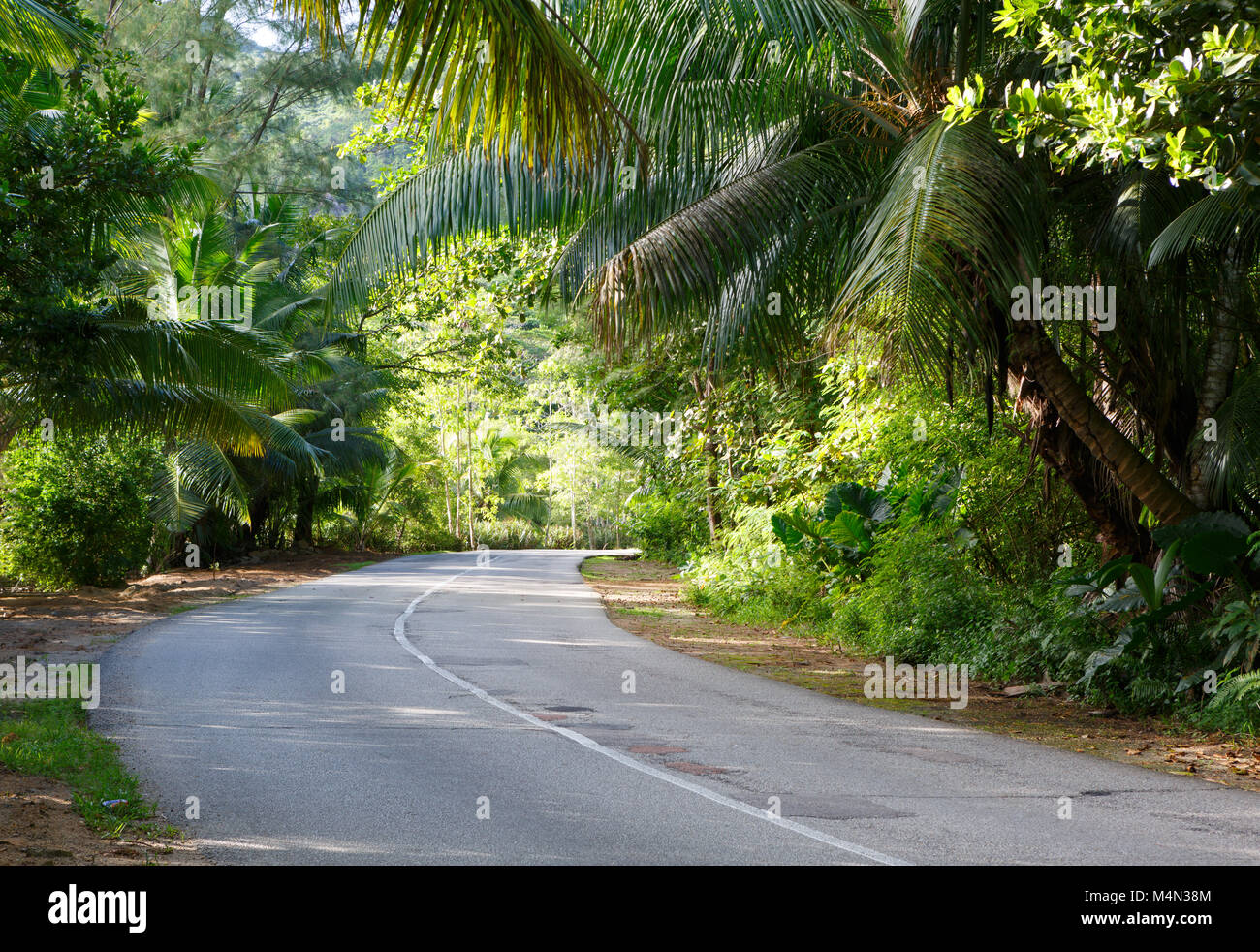 Die asphaltierte Straße durch den tropischen Regenwald, Insel Praslin, Seychellen Stockfoto
