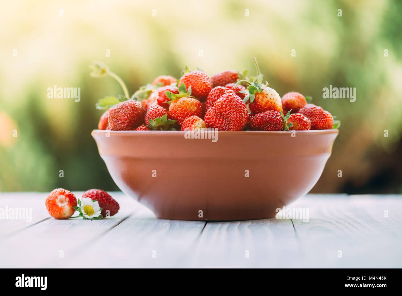 Erdbeere in der Platte closeup Stockfoto