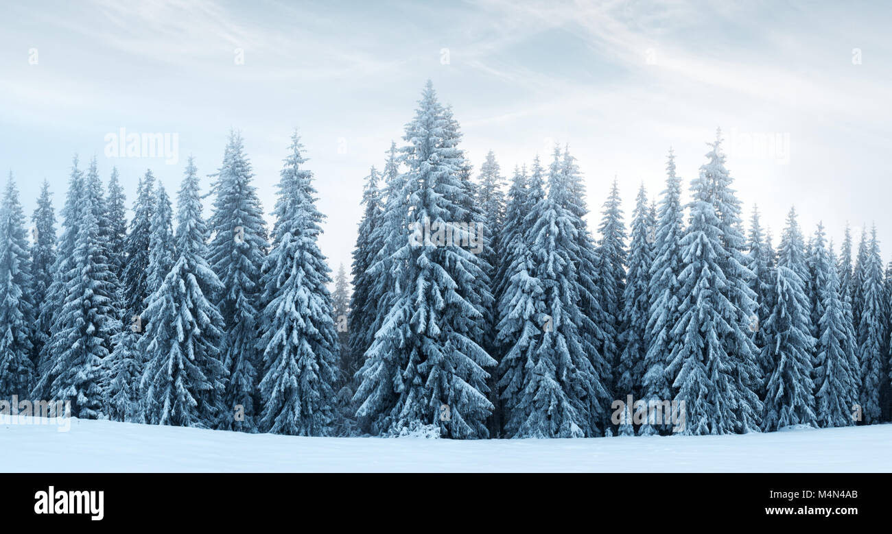 Traumhafte Winterlandschaft Stockfoto