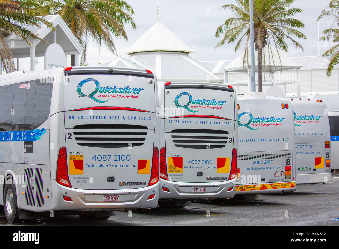 quicksilver trainers